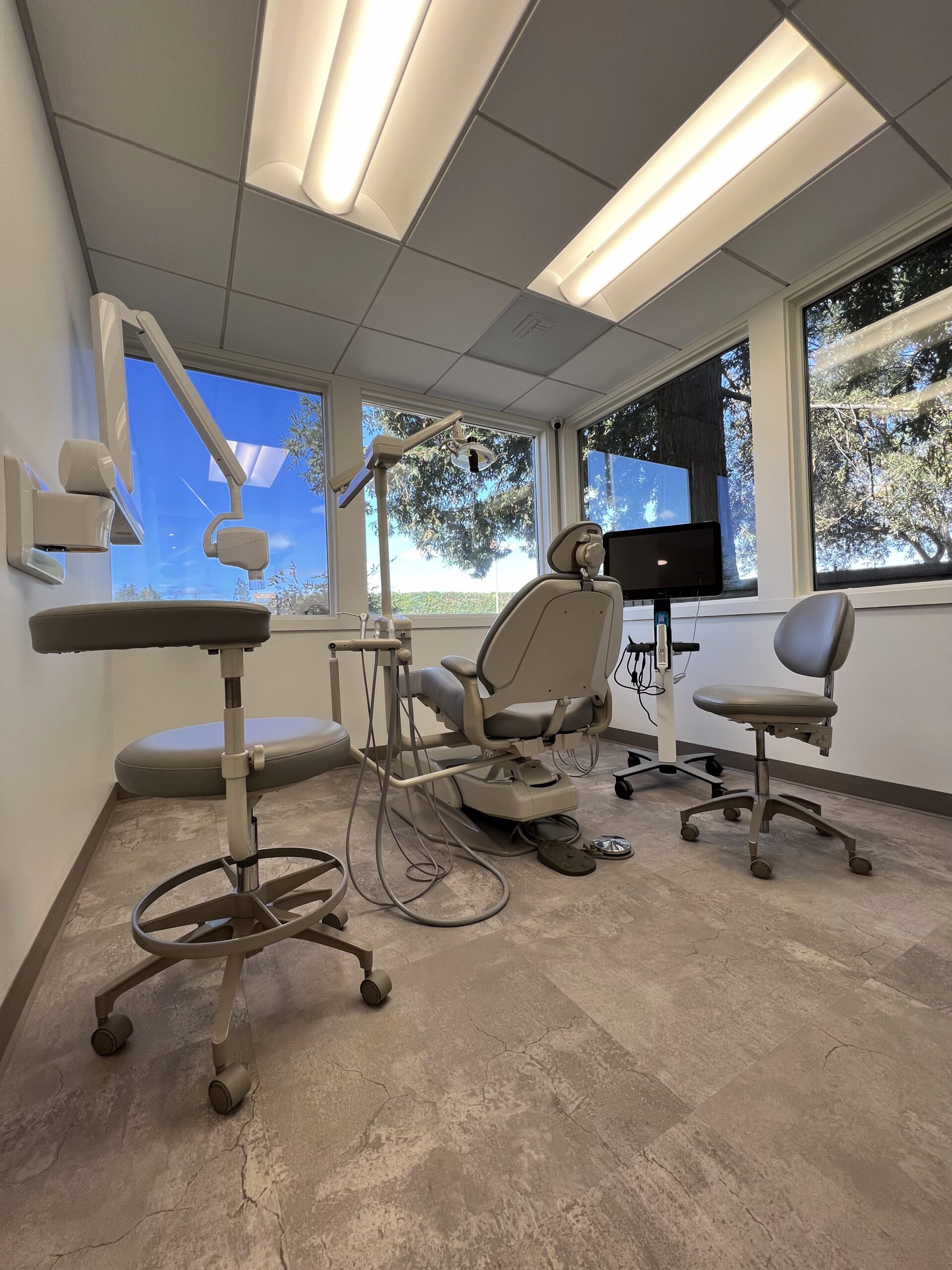 Summer Dental Office